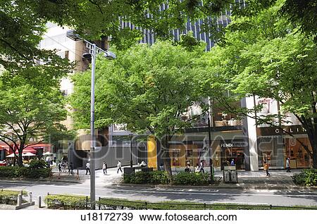Stock Photo - Omotesando street, Shibuya Ward, Tokyo Prefecture, Japan. Fotosearch