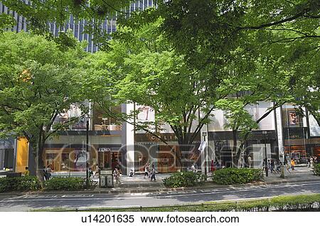 Stock Photography - Omotesando street, Shibuya Ward, Tokyo Prefecture, Japan. Fotosearch