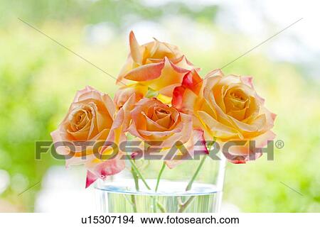 Picture - Orange Flowers. Fotosearch