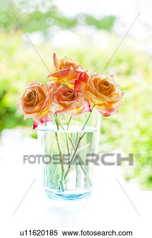 Stock Photography - Orange Flowers. Fotosearch