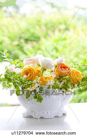 Orange Roses View Large Photo Image Picture - Orange Roses. Fotosearch