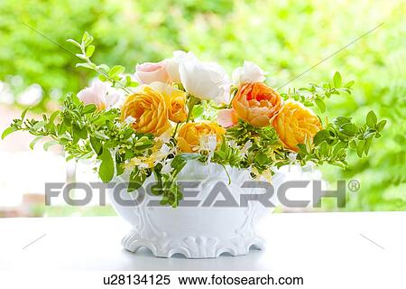 Orange Roses View Large Photo Image Stock Photography - Orange Roses. Fotosearch