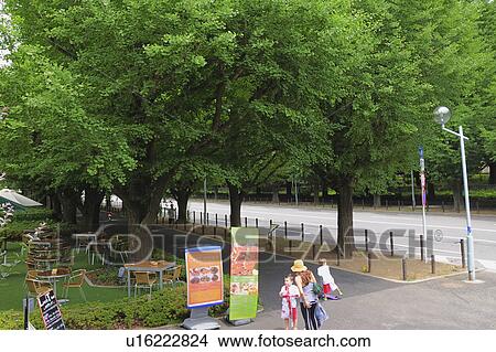 Picture - Outdoor cafe, Minato Ward, Tokyo Prefecture, Japan. Fotosearch