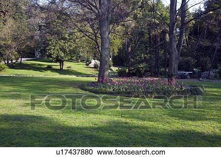 Stock Image - Park Angiolina. Fotosearch