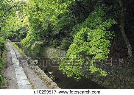 Path of Philosophy at Ginkaku-ji Temple View Large Photo Image Stock Photo - Path of Philosophy at Ginkaku-ji Temple. Fotosearch