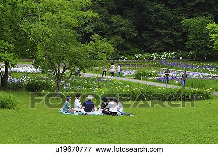 Stock Photo - People at Sakura castle ruin park, Chiba Prefecture, Japan. Fotosearch
