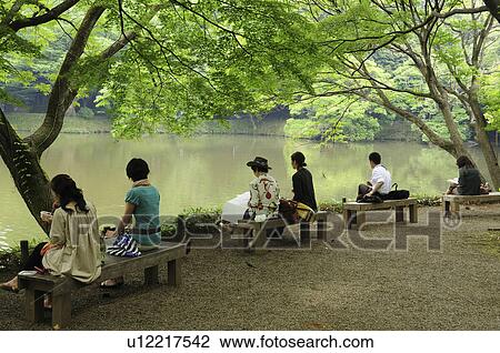 People relaxing at Koishikawa Korakuen Garden, Bunkyo Ward, Tokyo Prefecture, Japan View Large Photo Image Stock Image - People relaxing at Koishikawa Korakuen Garden, Bunkyo Ward, Tokyo Prefecture, Japan. Fotosearch