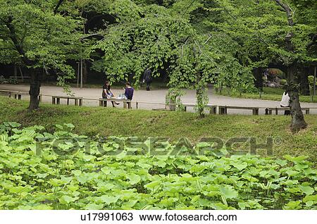 People relaxing at Koishikawa Korakuen Garden, Bunkyo Ward, Tokyo Prefecture, Japan View Large Photo Image Stock Image - People relaxing at Koishikawa Korakuen Garden, Bunkyo Ward, Tokyo Prefecture, Japan. Fotosearch