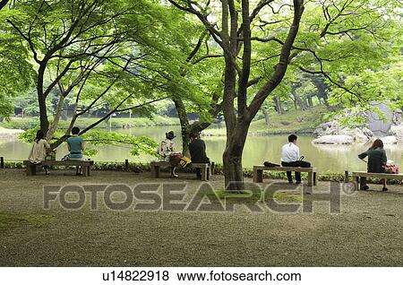 People relaxing at Koishikawa Korakuen Garden, Bunkyo Ward, Tokyo Prefecture, Japan View Large Photo Image Stock Photo - People relaxing at Koishikawa Korakuen Garden, Bunkyo Ward, Tokyo Prefecture, Japan. Fotosearch