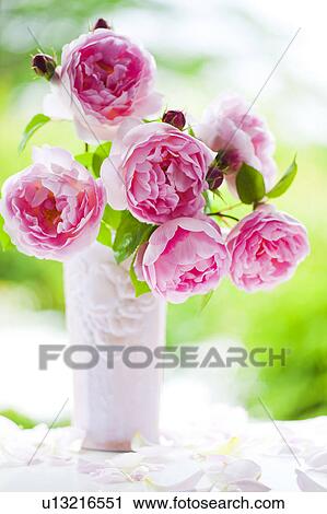 Stock Image - Pink Roses in Vase. Fotosearch