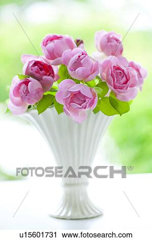 Stock Image - Pink Roses in Vase. Fotosearch