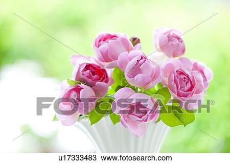 Stock Image - Pink Roses in Vase. Fotosearch