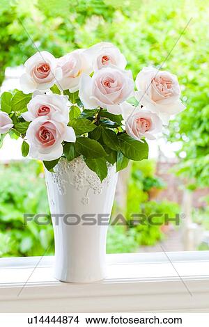 Pink Roses View Large Photo Image Picture - Pink Roses. Fotosearch