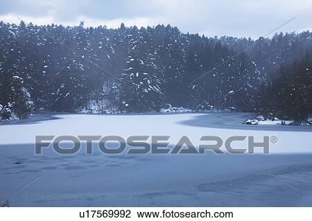 Pond in Winter View Large Photo Image Stock Image - Pond in Winter. Fotosearch