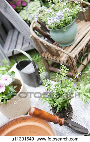 Stock Photo - Potted flowers and gardening equipments. Fotosearch