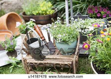Potted flowers and gardening equipments View Large Photo Image Stock Photo - Potted flowers and gardening equipments. Fotosearch