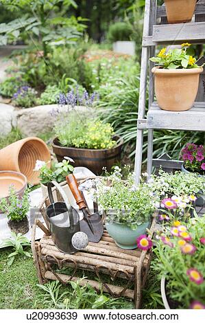 Potted flowers and gardening equipments View Large Photo Image Stock Photo - Potted flowers and gardening equipments. Fotosearch