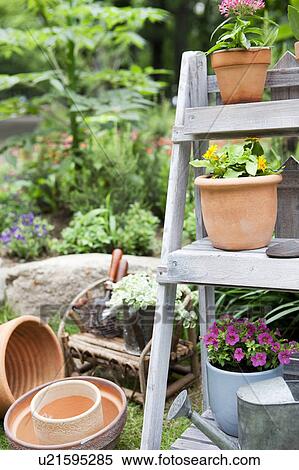Potted flowers and gardening equipments View Large Photo Image Stock Photography - Potted flowers and gardening equipments. Fotosearch