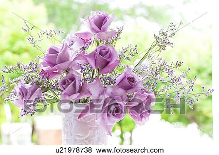 Stock Photo - Purple Roses. Fotosearch