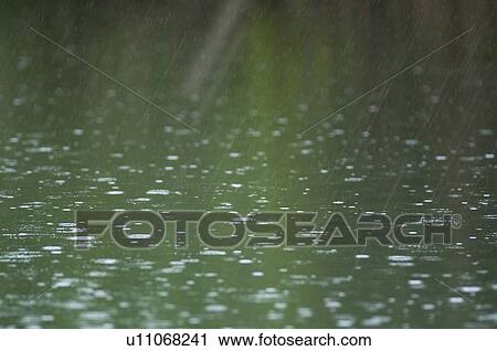 Stock Image - Rain. Fotosearch