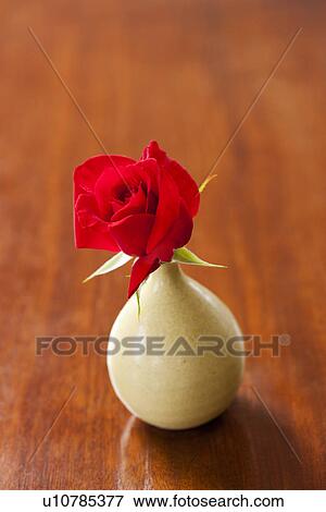 Stock Photo - Red Rose in Vase. Fotosearch