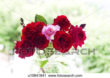 Stock Image - Red Roses. Fotosearch