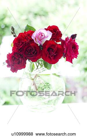 Red Roses View Large Photo Image Stock Photo - Red Roses. Fotosearch