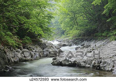 River in Nakatsugawa Valley View Large Photo Image Stock Image - River in Nakatsugawa Valley. Fotosearch