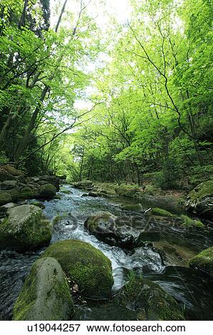 River View Large Photo Image Stock Photo - River. Fotosearch