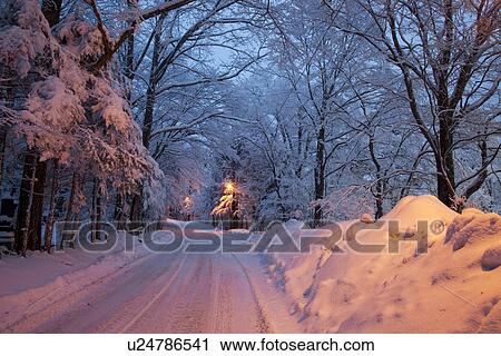 Road in Winter View Large Photo Image Stock Image - Road in Winter. Fotosearch