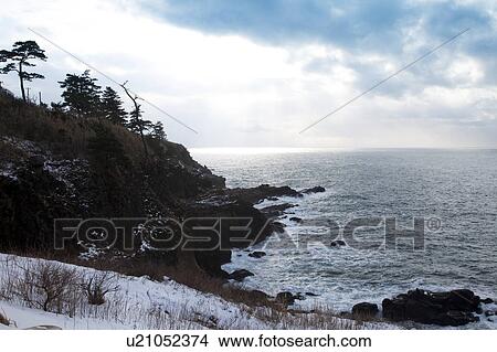 Picture - Rocky Coastline in Winter. Fotosearch