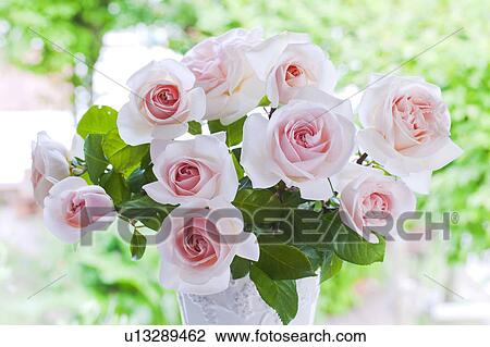 Rose Bouquet View Large Photo Image Stock Image - Rose Bouquet. Fotosearch