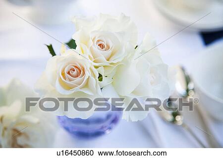 Stock Image - Roses and Tea. Fotosearch