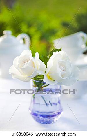 Roses and Tea View Large Photo Image Stock Photography - Roses and Tea. Fotosearch