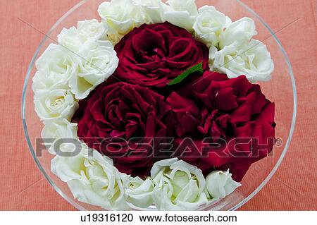 Stock Image - Roses in Bowl. Fotosearch