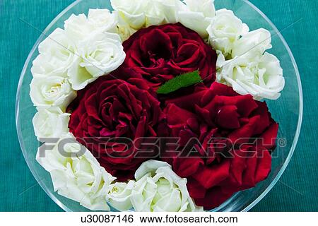 Stock Photograph - Roses in Bowl. Fotosearch