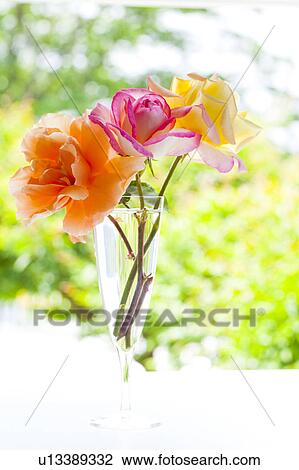 Roses in Champagne Flute View Large Photo Image Stock Image - Roses in Champagne Flute. Fotosearch