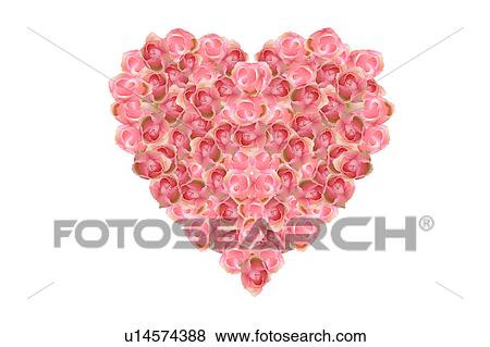 Roses in Heart Shape View Large Photo Image Stock Photo - Roses in Heart Shape. Fotosearch