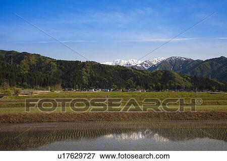 Stock Photo - Rural Landscape. Fotosearch