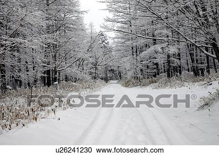 Rural Road in Winter View Large Photo Image Stock Image - Rural Road in Winter. Fotosearch