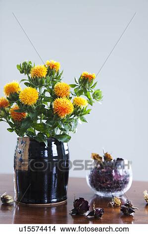 Picture - Safflower. Fotosearch
