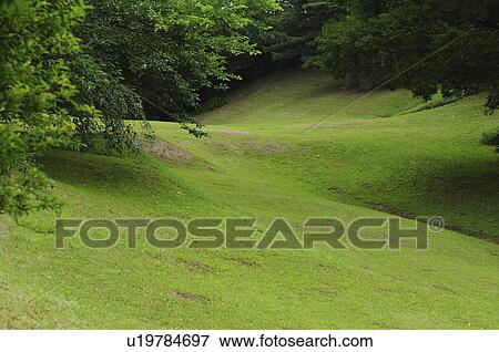 Stock Photo - Sakura castle ruin park, Chiba Prefecture, Japan. Fotosearch