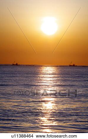 Picture - Scallop Fishery. Fotosearch
