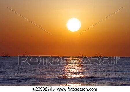 Scallop Fishery View Large Photo Image Stock Photography - Scallop Fishery. Fotosearch