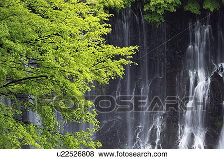 Stock Photo - Shizuoka Waterfalls. Fotosearch