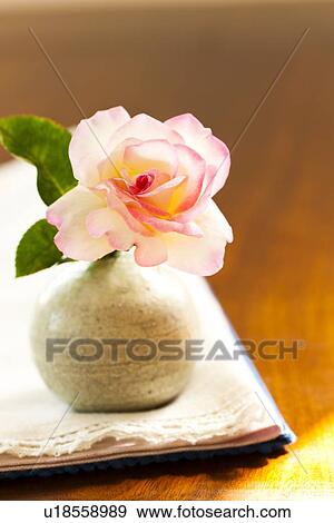 Stock Photo - Single Rose in Vase. Fotosearch