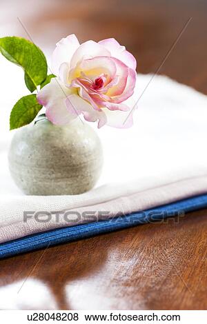 Stock Photo - Single Rose in Vase. Fotosearch