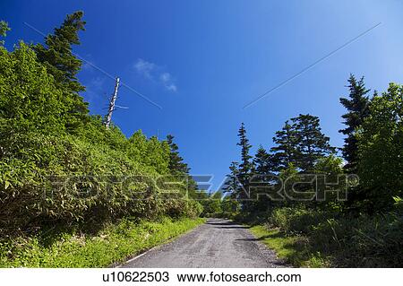 Stock Image - Single Track in Mountain. Fotosearch