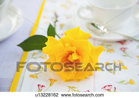 Stock Image - Single Yellow Rose. Fotosearch
