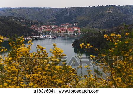Skradin and Krka River, Flowers in Foreground View Large Photo Image Stock Image - Skradin and Krka River, Flowers in Foreground. Fotosearch
